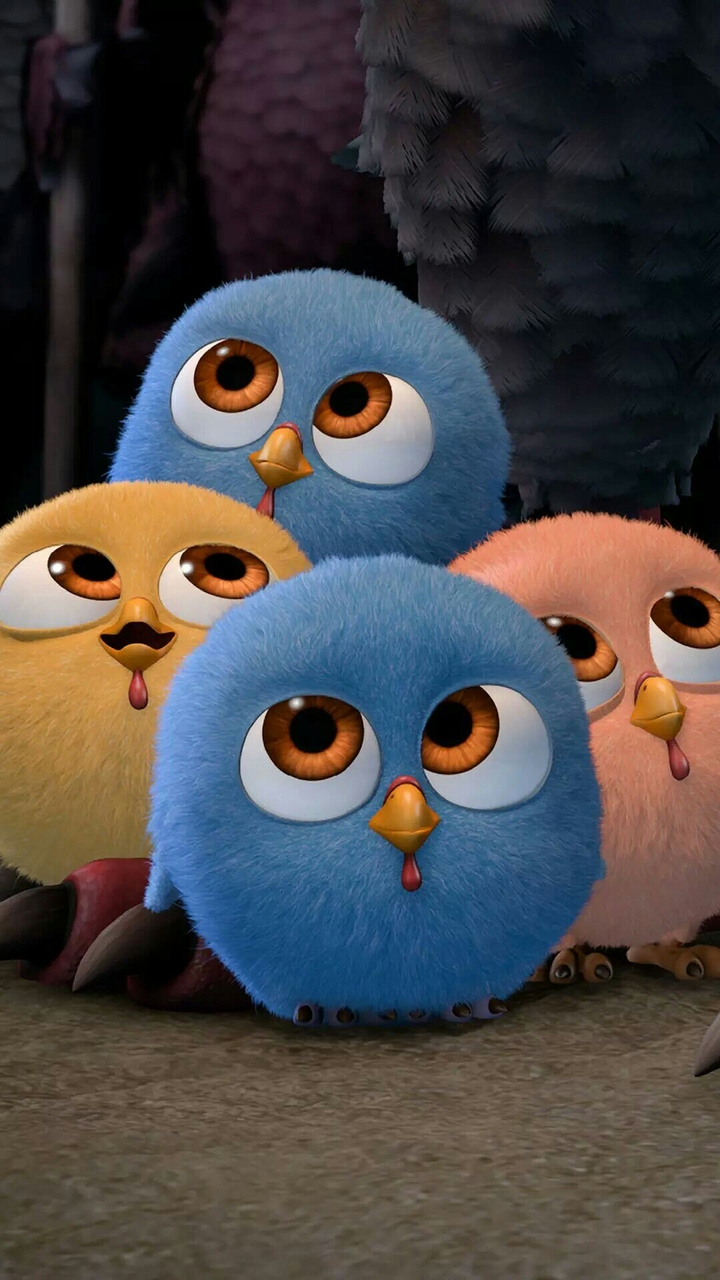 cute birds