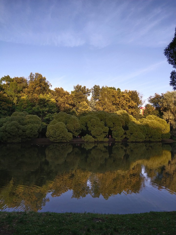 park