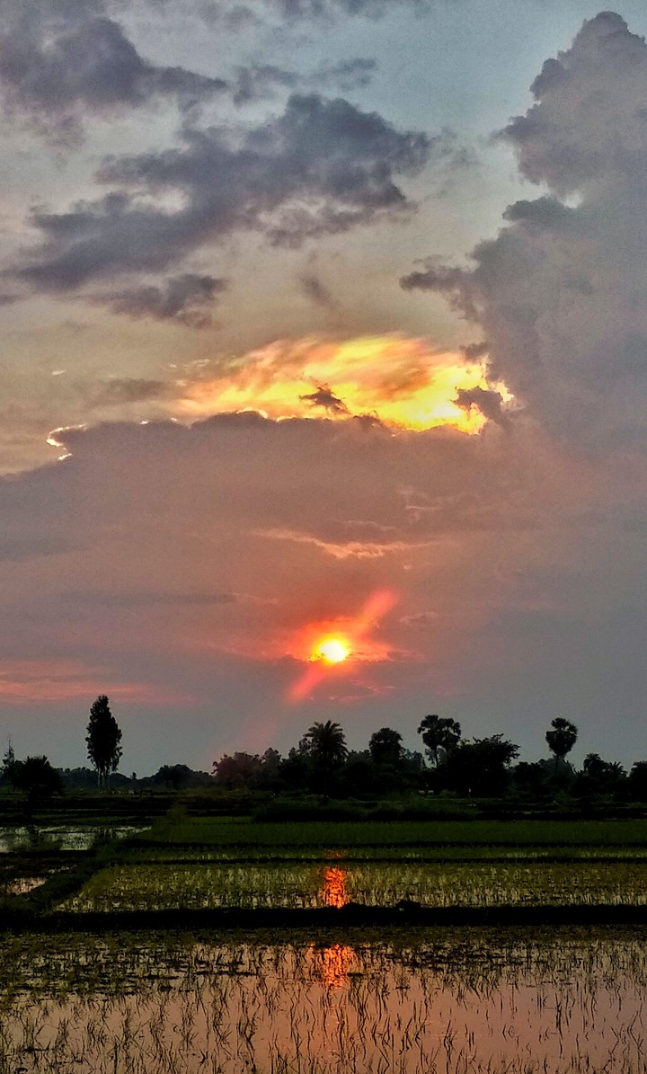 sun