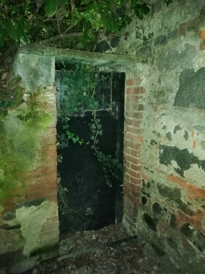 Old door