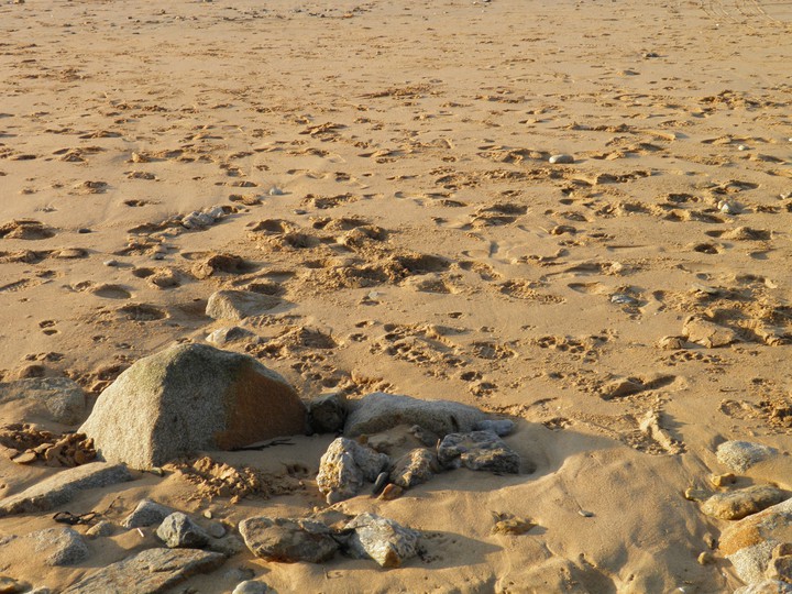 Rocher sur la plage