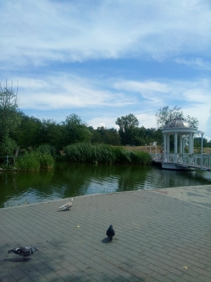 Park
