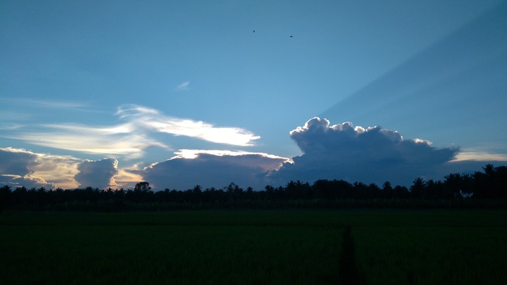 Nature no filters applied sky