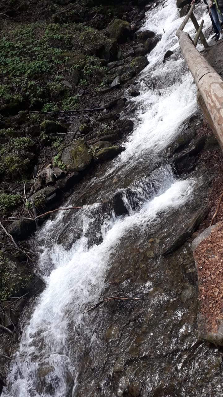 Transcarpathia
