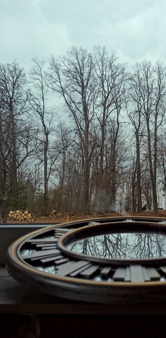 mirrored
