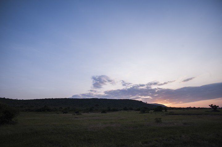Nature