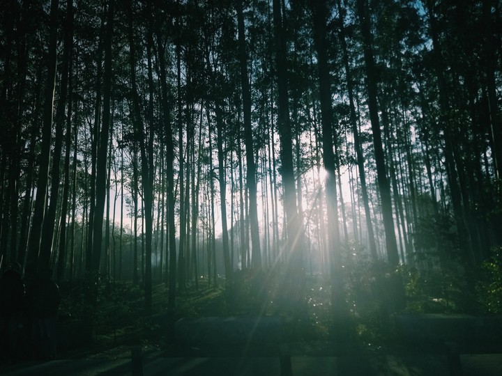 Rays of hope ~