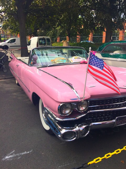 cadillac rose