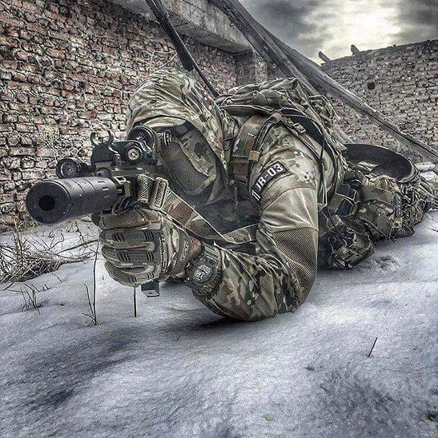 snipe