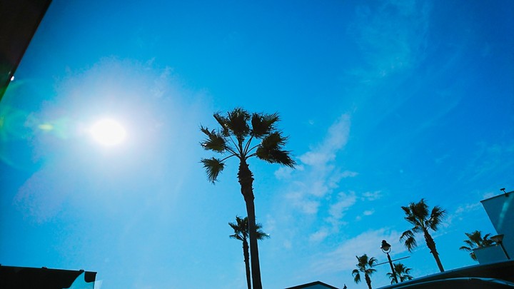 sky/空