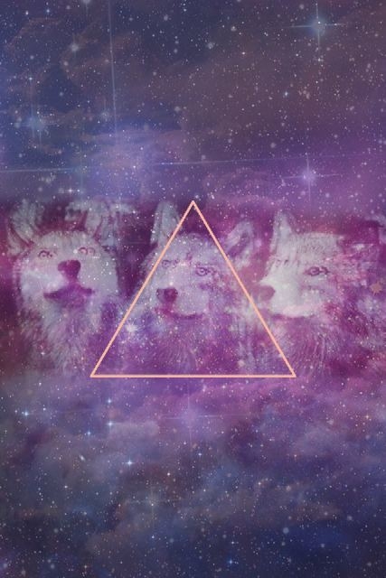 Animals and galaxy