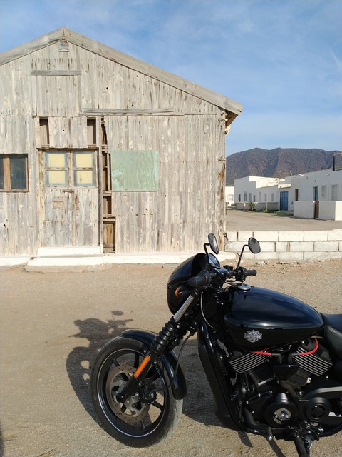 Harley-Davidson