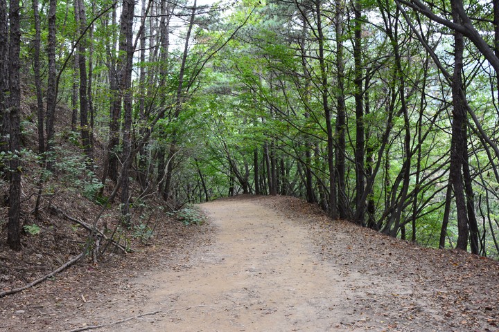 수리산이미지