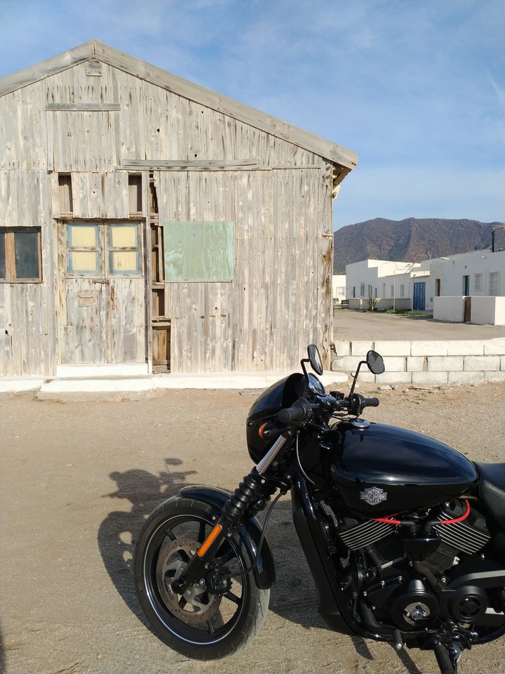 Harley-Davidson