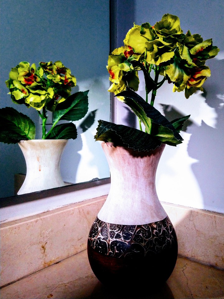 Flores