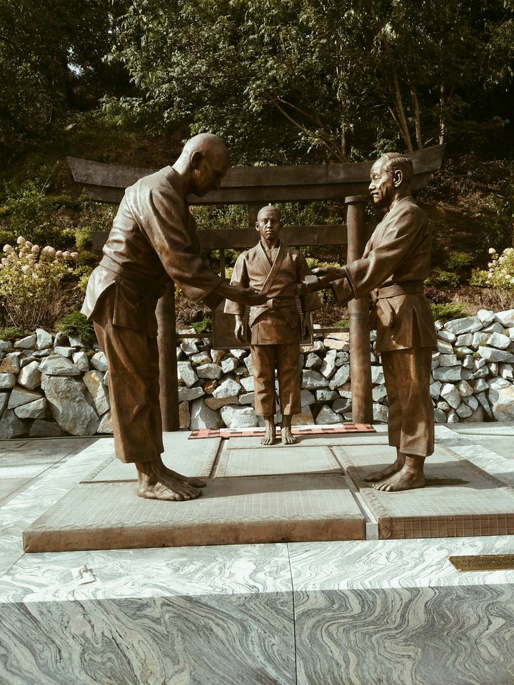 памятник дзюдо