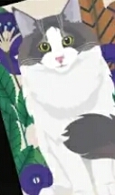 ?????