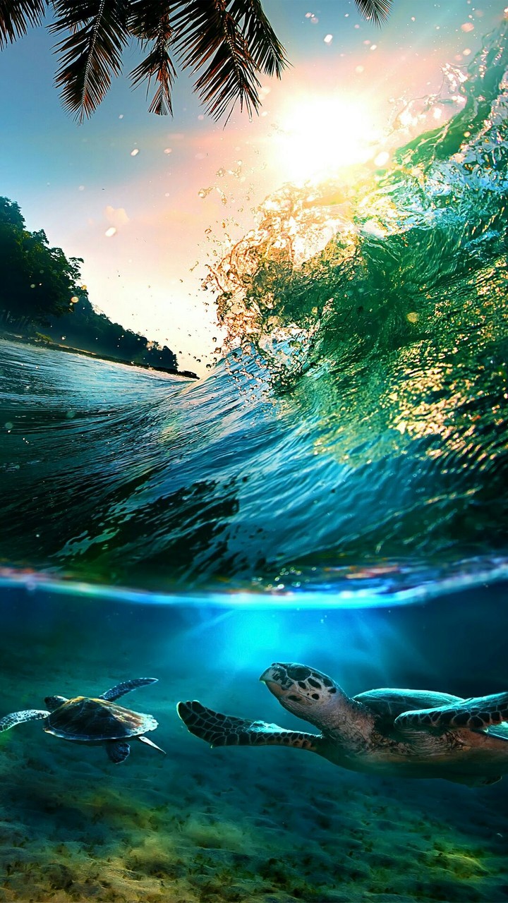 water