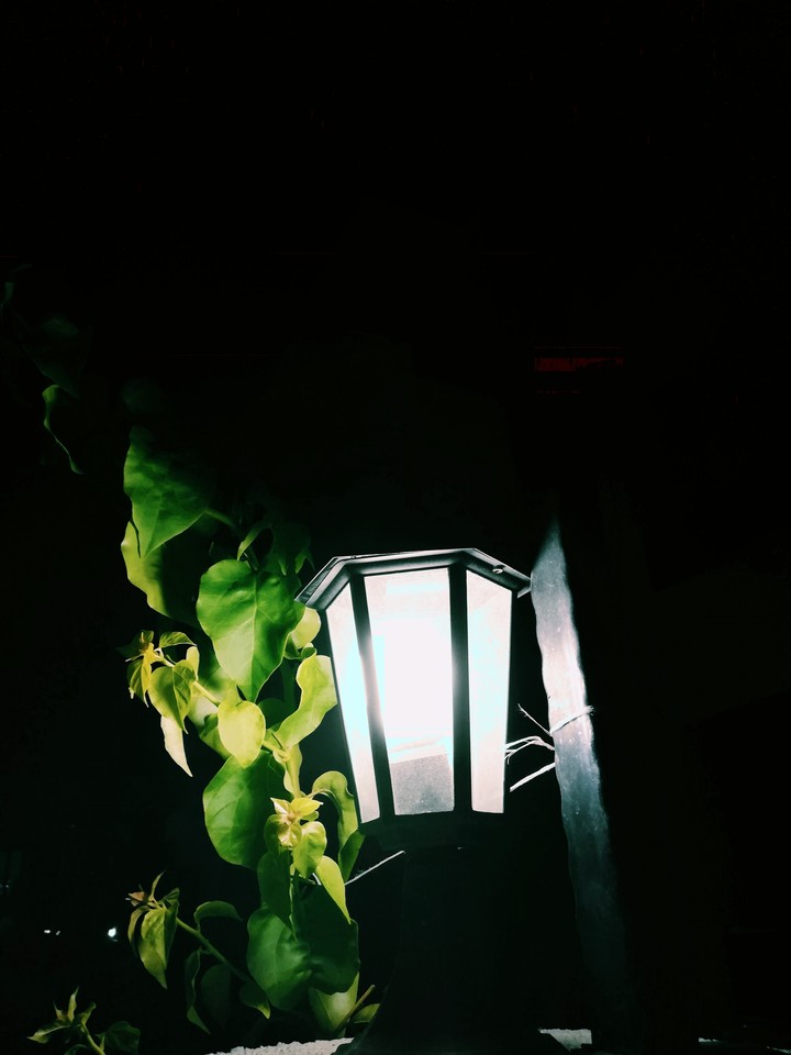 Harmony of light and nature