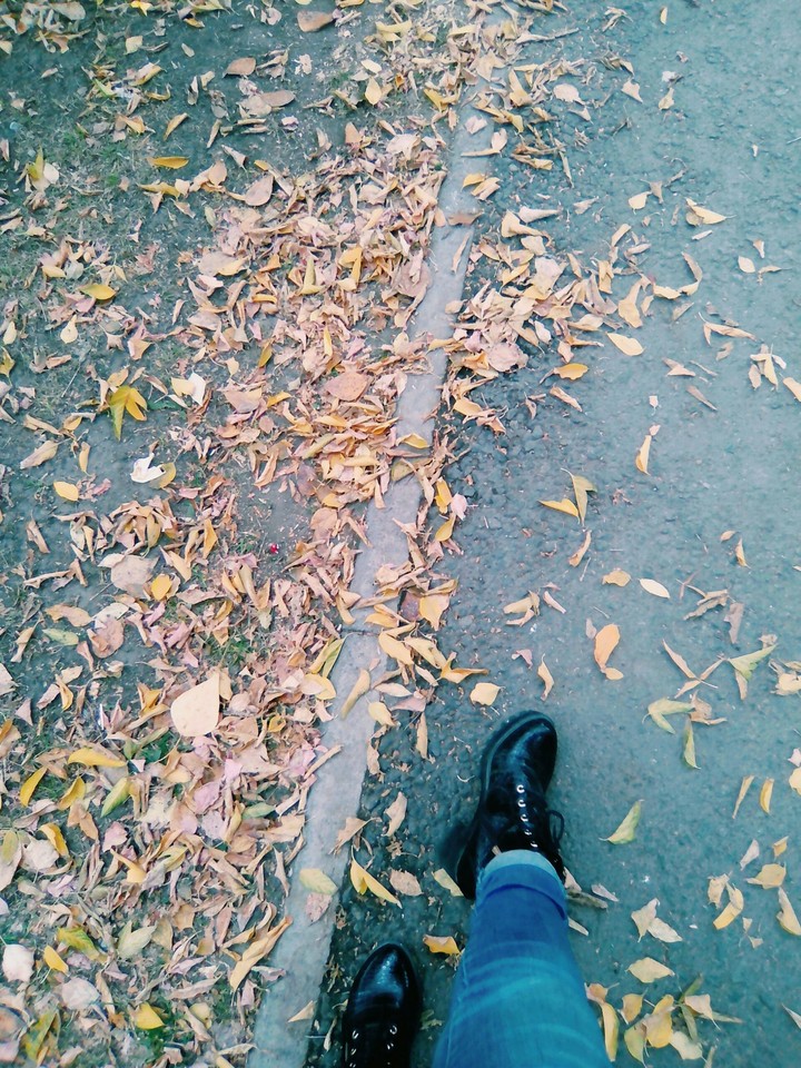 legs. autumn