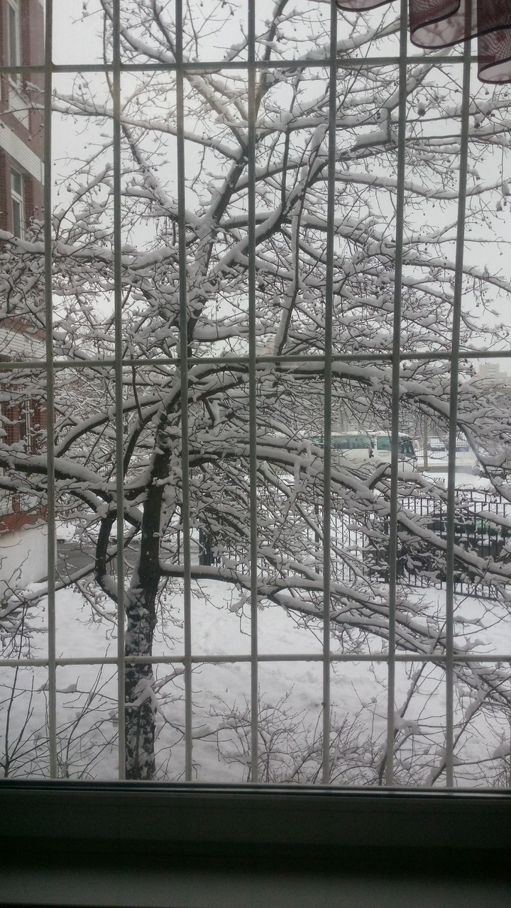 The snow behind bars