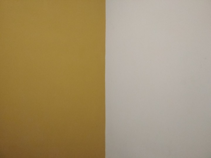 potraits