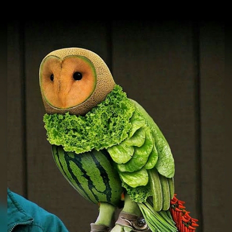 Owl Vegie Decoration☀☀☀☀☀