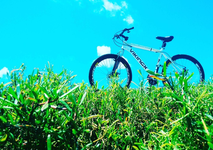 bicicleta