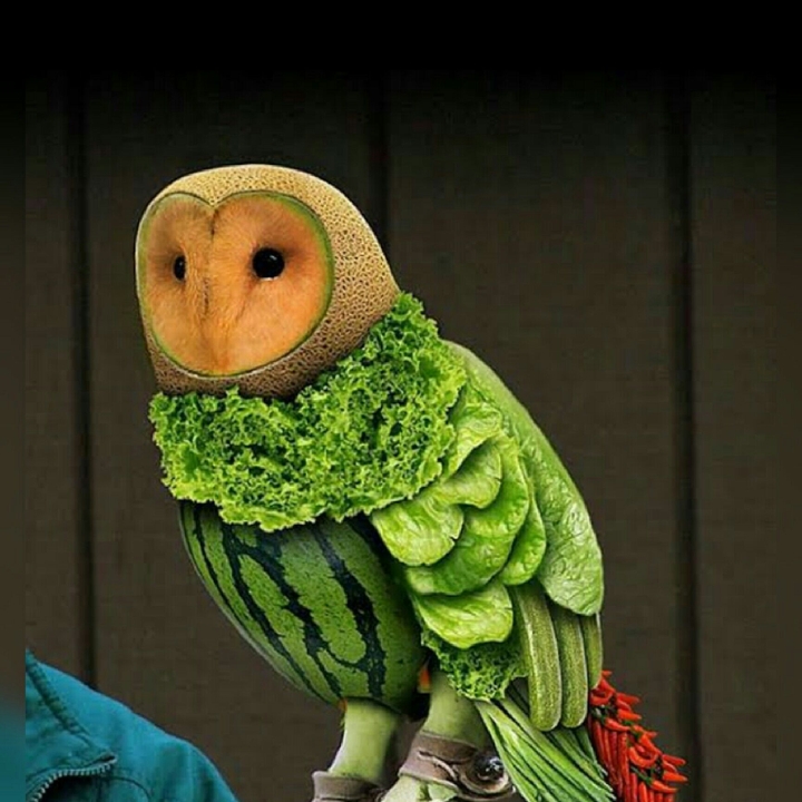 Owl Vegie Decoration☀☀☀☀☀