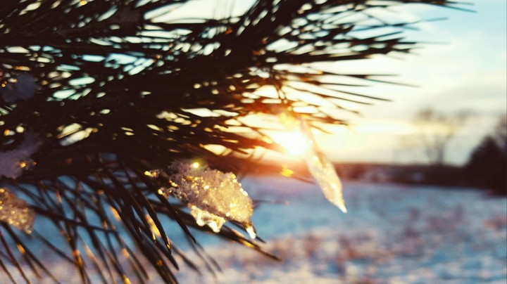 spring's return