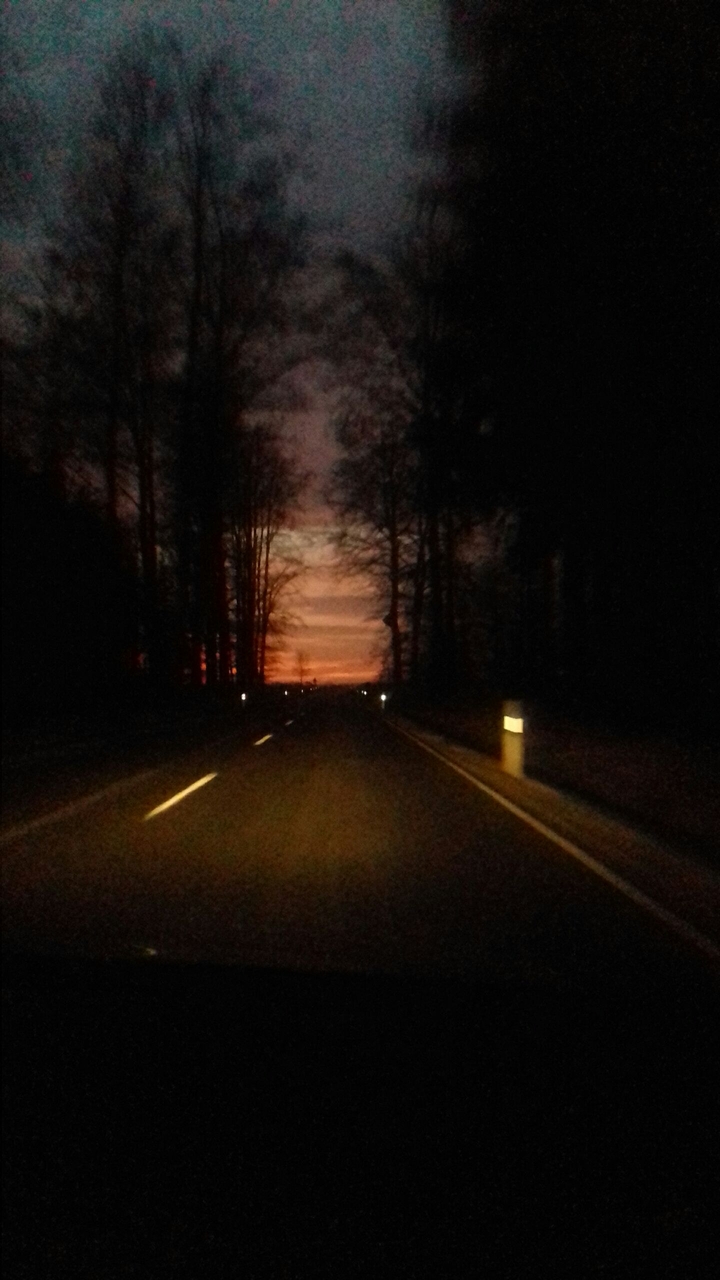 night