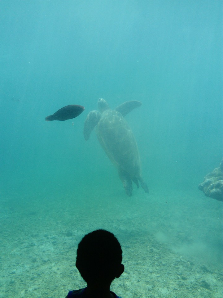 breath