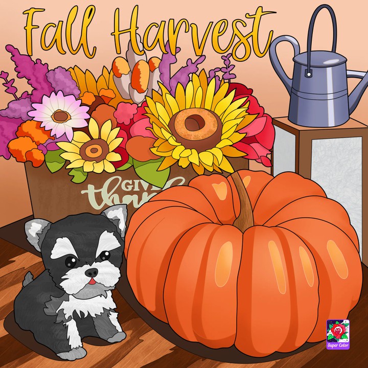 fall harvest
