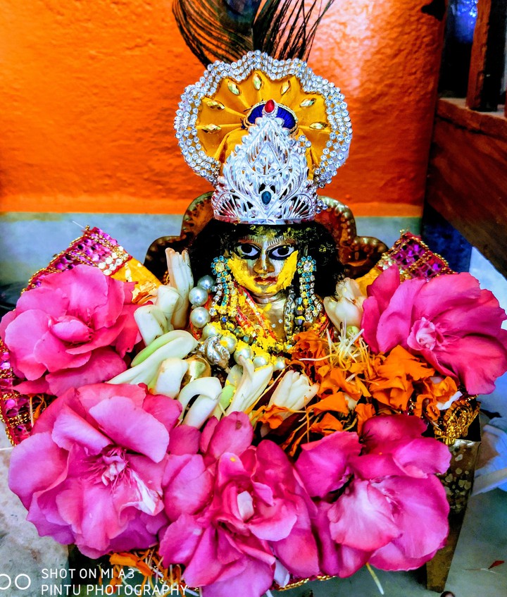 sri krishna