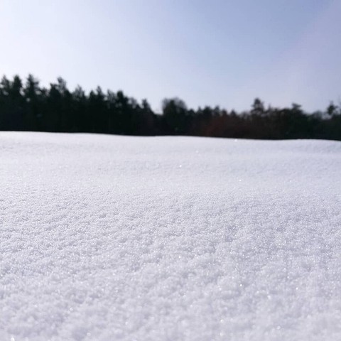 ❣️ More pics on intagram : _polgarniki_