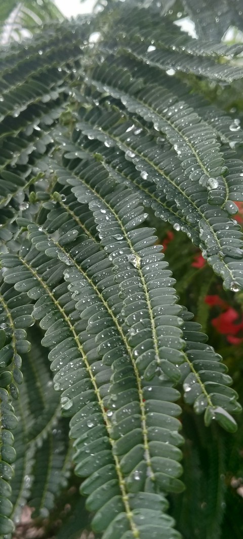 RaiNY SeÅsON