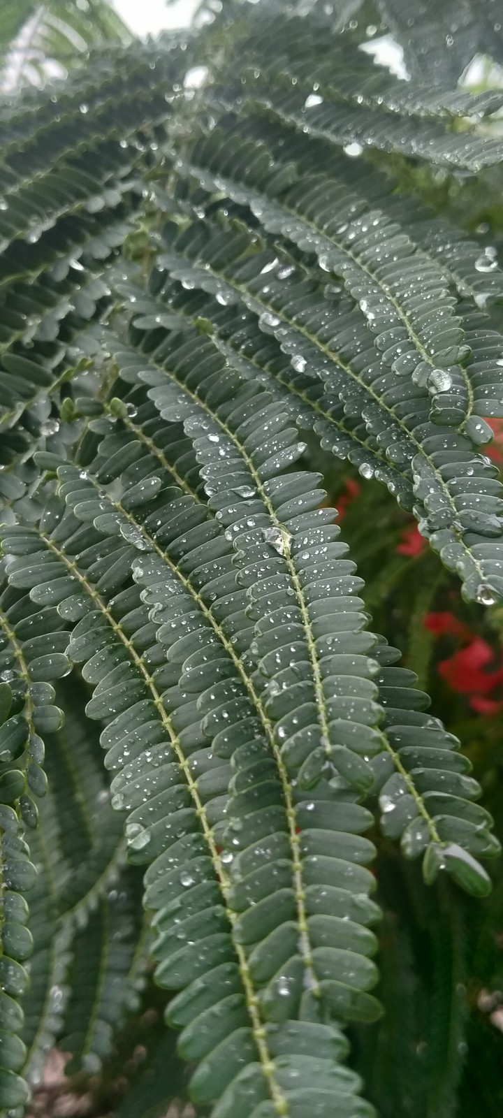 RaiNY SeÅsON