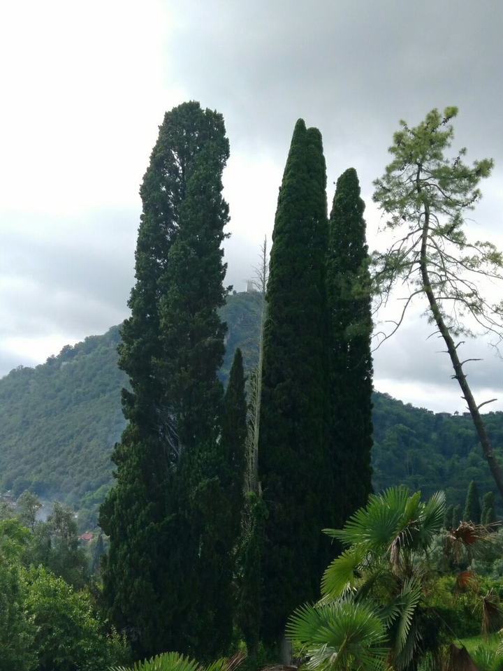 Anakopia