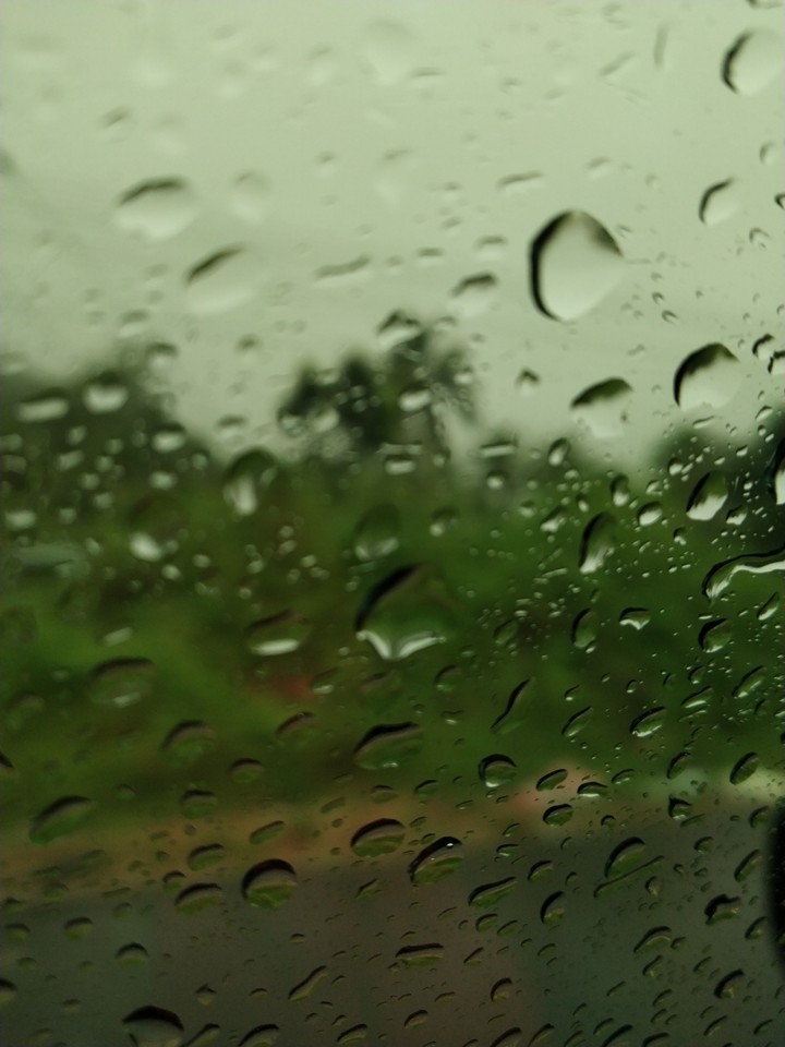 rain drops