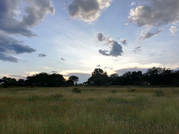 Cielo