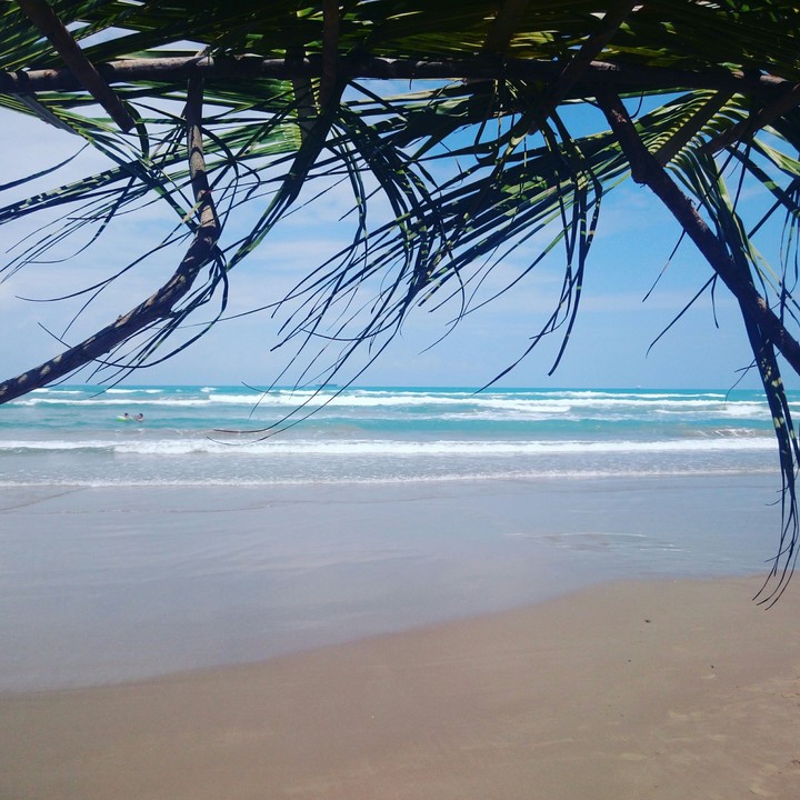 Playa 