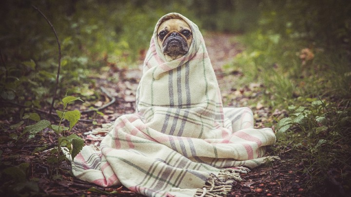 I'm cold