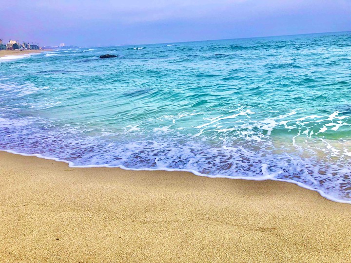 sea