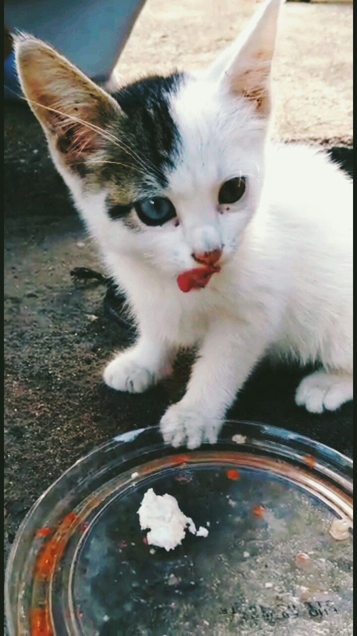 ..