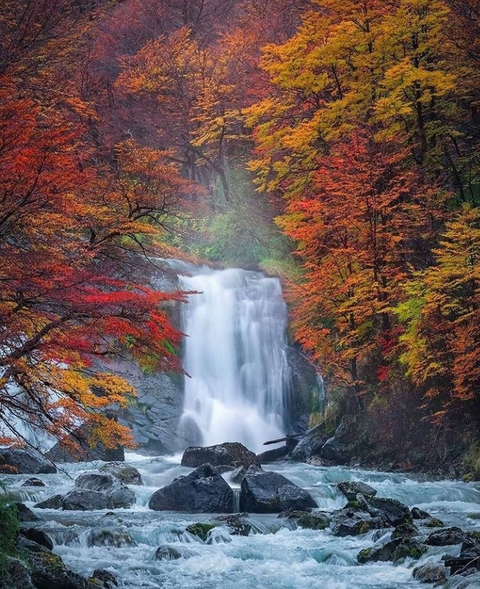 Autumn