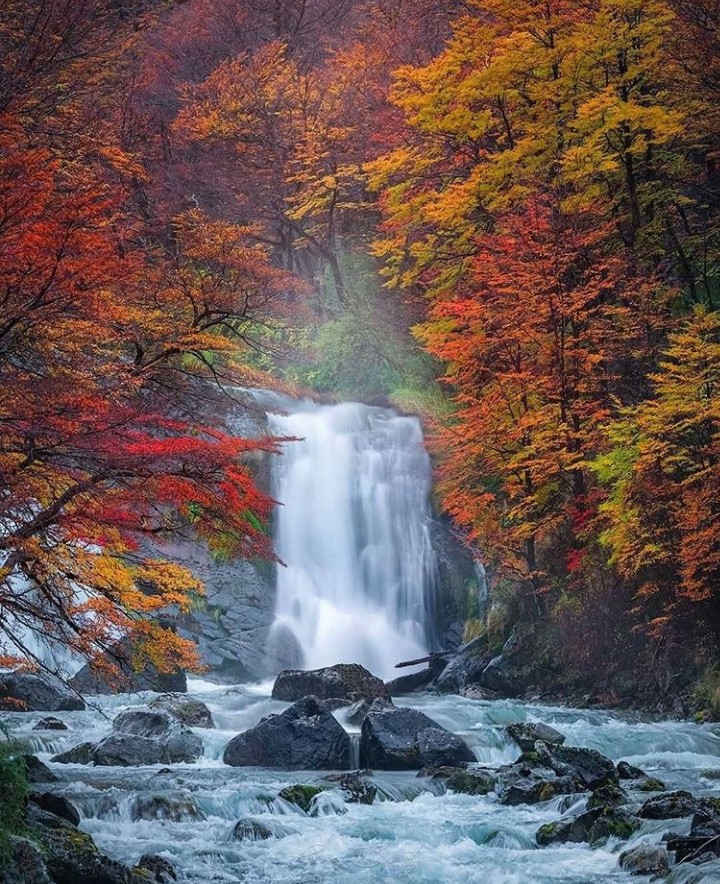 Autumn