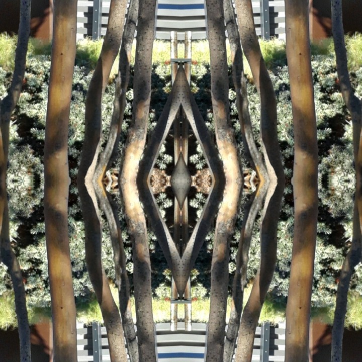 Twinmirrorapp use on flowers and trees