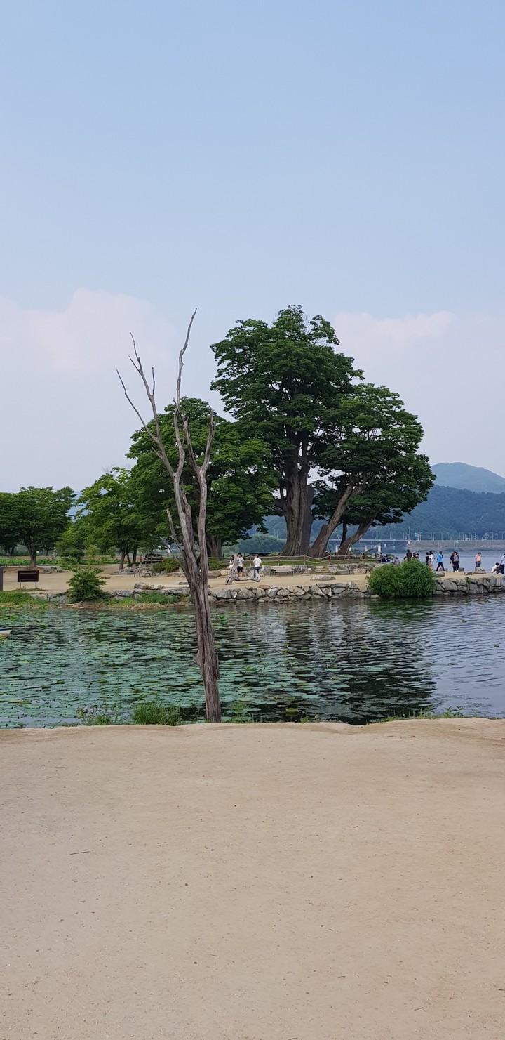 두물머리
