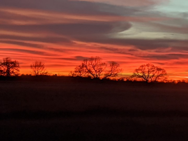 Texas