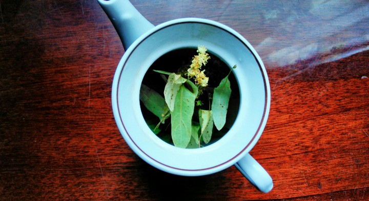 Tea with linden blossom